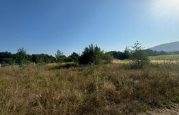 Teren extravilan, 4000mp, com. Darmanesti