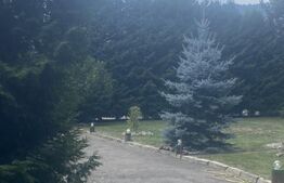 Vilă în stil elvețian Câmpulung Moldovenesc, 155 mp