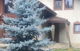 Vilă în stil elvețian Câmpulung Moldovenesc, 155 mp