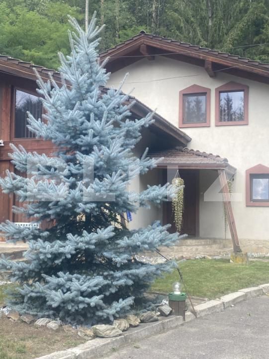 Casa de vânzare 3 camere Exterior Vest - 157536CV | BLITZ Suceava | Poza9