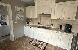 Opurtunitate, Vila Ultramoderna, 260mp utili, zona Volovat 