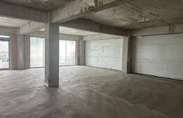 Spatii cu destinatie multipla,intre 50 si 100 mp , zona Centrala