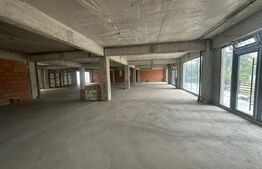 Spatii cu destinatie multipla,intre 50 si 100 mp , zona Centrala