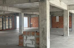 Spatii cu destinatie multipla,intre 50 si 100 mp , zona Centrala