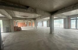 Spatii cu destinatie multipla,intre 50 si 100 mp , zona Centrala