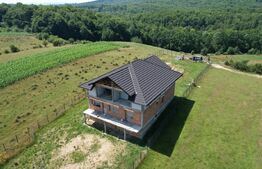 Pensiune la rosu, 370mp, Ciprian Porumbescu