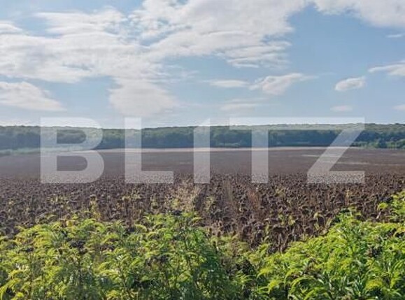 Teren de vânzare Exterior Nord - 157853TV | BLITZ Suceava | Poza1