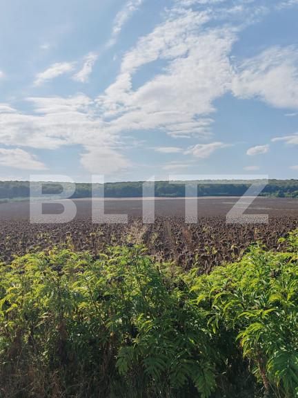 Teren de vânzare Exterior Nord - 157853TV | BLITZ Suceava | Poza1