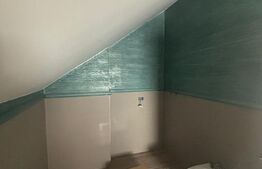 Triplex 5 camere, 110 mp utilii, zona Penny Moara