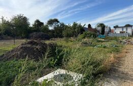 Oportunitate! Teren pretabil casa! 500MP, Radauti