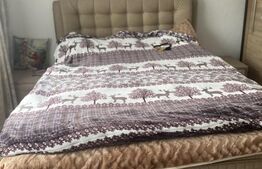 Apartament 4 camere, Ostra