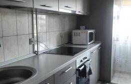 Apartament cu 2 camere, 60 mp, cartier Obcini