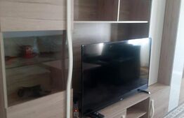 Apartament cu 2 camere, 60 mp, cartier Obcini