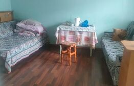 Casa + teren 1500mp, zona Negostina Siret