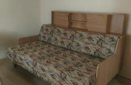 Casa + teren 1500mp, zona Negostina Siret