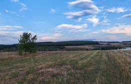 Teren intravilan, 1806mp, zona Dragomirna