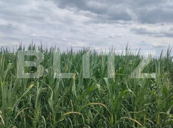 Teren de vânzare Horodnic - 158508TV | BLITZ Suceava | Poza1