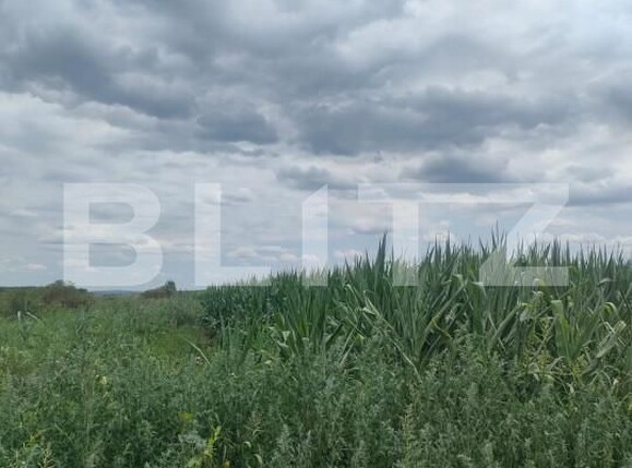 Teren de vânzare Horodnic - 158509TV | BLITZ Suceava | Poza1