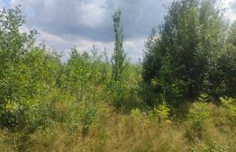 Teren intravilan, 5857 mp, Baltati, Horodnicu de Sus