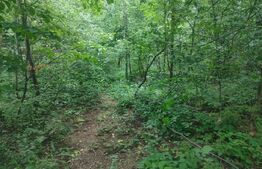 Teren intravilan, 5857 mp, Baltati, Horodnicu de Sus