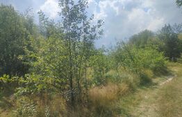 Teren intravilan, 5857 mp, Baltati, Horodnicu de Sus