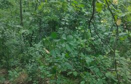 Teren intravilan, 5857 mp, Baltati, Horodnicu de Sus