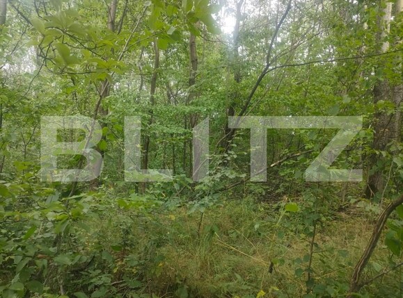 Teren de vânzare Horodnic - 158510TV | BLITZ Suceava | Poza7