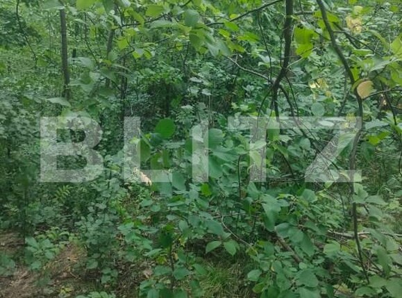 Teren de vânzare Horodnic - 158510TV | BLITZ Suceava | Poza8