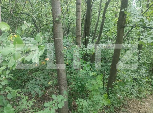 Teren de vânzare Horodnic - 158510TV | BLITZ Suceava | Poza6