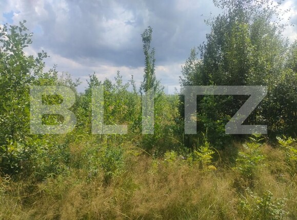 Teren de vânzare Horodnic - 158510TV | BLITZ Suceava | Poza2