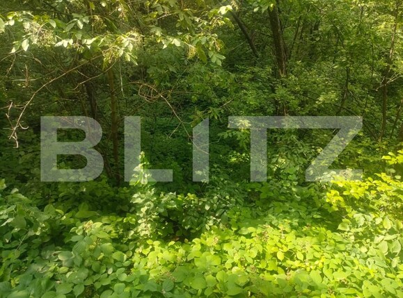 Teren de vânzare Horodnic - 158510TV | BLITZ Suceava | Poza4