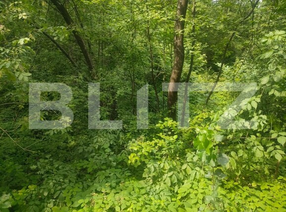 Teren de vânzare Horodnic - 158510TV | BLITZ Suceava | Poza1