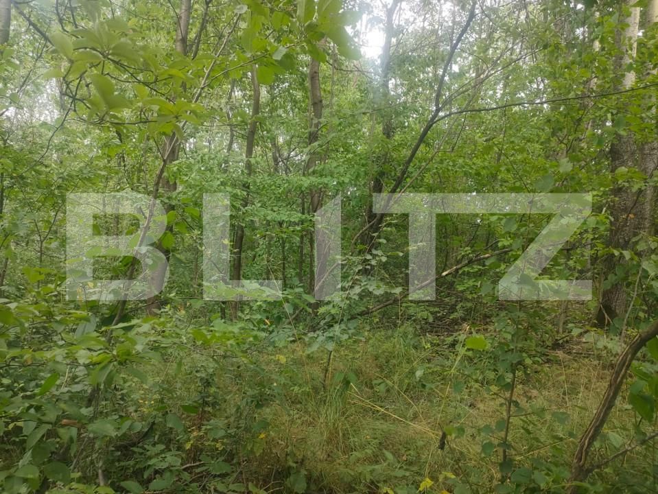 Teren de vânzare Horodnic - 158510TV | BLITZ Suceava | Poza7