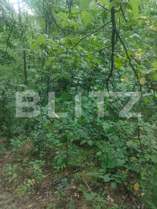 Teren de vânzare Horodnic - 158510TV | BLITZ Suceava | Poza8