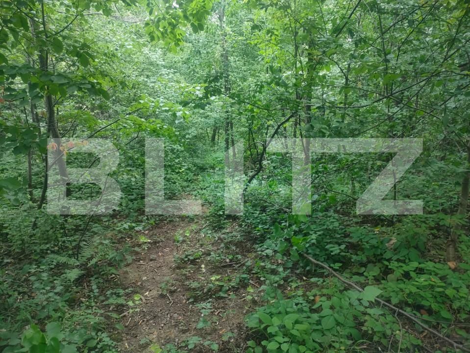 Teren de vânzare Horodnic - 158510TV | BLITZ Suceava | Poza2