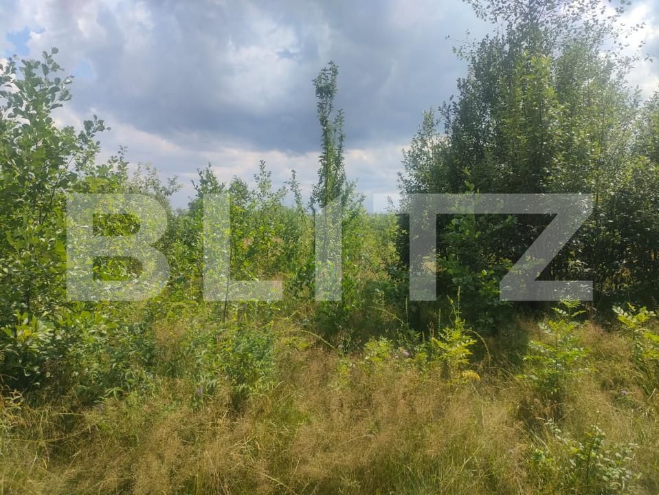 Teren de vânzare Horodnic - 158510TV | BLITZ Suceava | Poza2