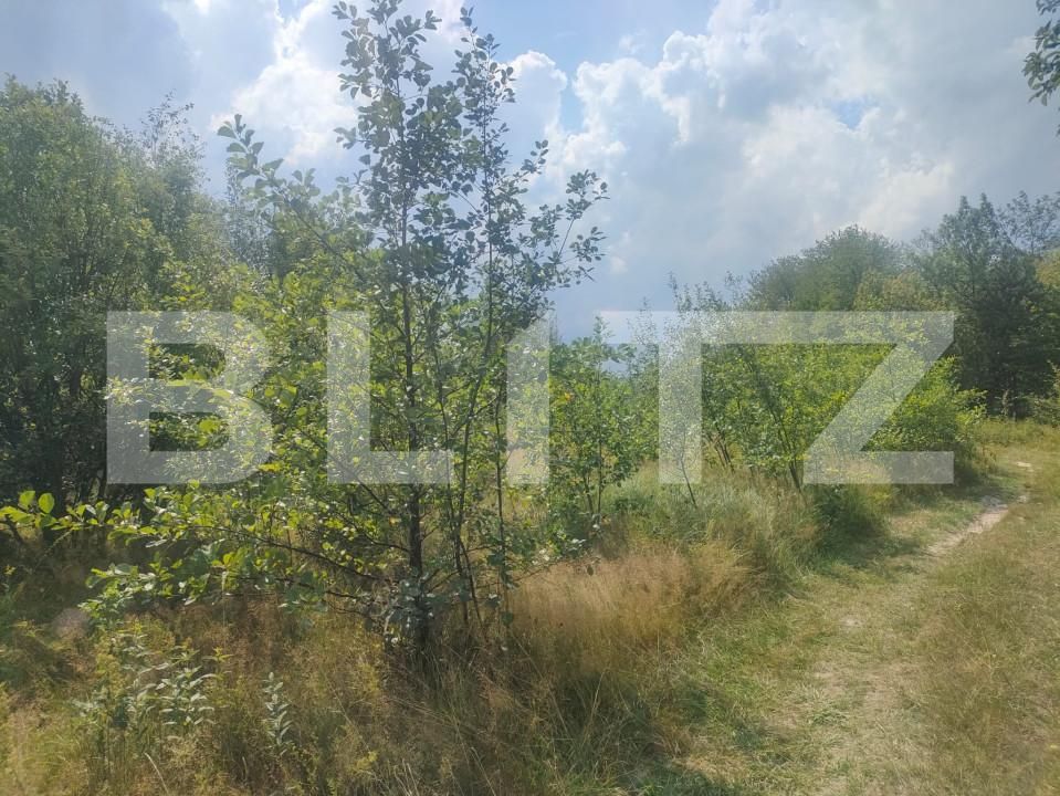 Teren de vânzare Horodnic - 158510TV | BLITZ Suceava | Poza5