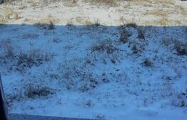 Casă modernă individuală, parter, 125 mp utili + 980 mp teren, zona Lisaura 