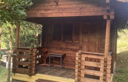 Teren + căbănuța de vacanța, Vatra Dornei, 2000 mp