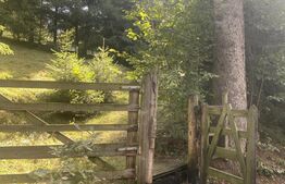 Teren + căbănuța de vacanța, Vatra Dornei, 2000 mp