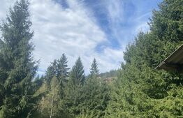 Teren + căbănuța de vacanța, Vatra Dornei, 2000 mp