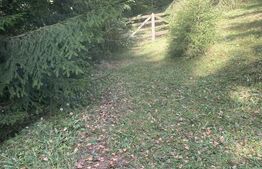 Teren + căbănuța de vacanța, Vatra Dornei, 2000 mp