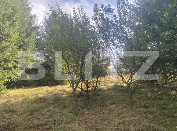 Teren de vânzare Exterior Vest - 158787TV | BLITZ Suceava | Poza8