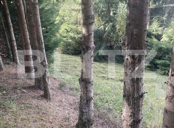 Teren de vânzare Exterior Vest - 158787TV | BLITZ Suceava | Poza9