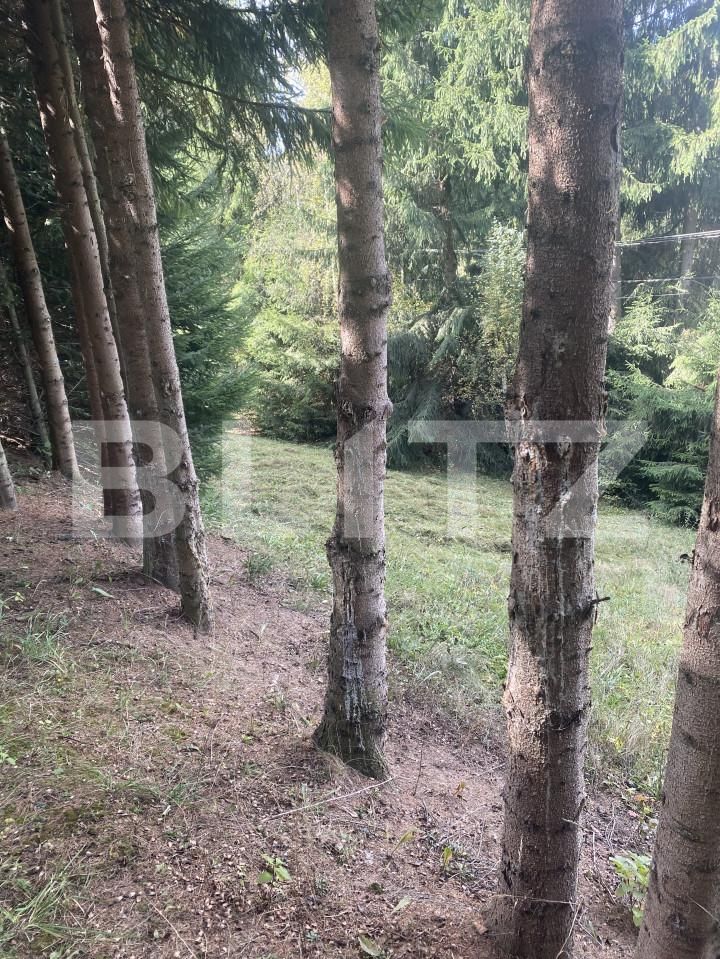 Teren de vânzare Exterior Vest - 158787TV | BLITZ Suceava | Poza9