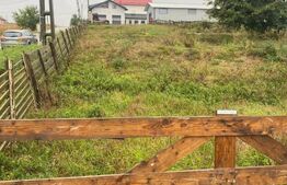 Teren Intravilan ,900mp , Sf. Ilie Vechi