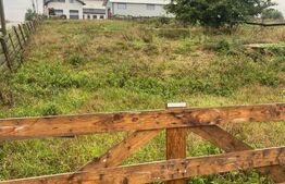 Teren Intravilan ,900mp , Sf. Ilie Vechi