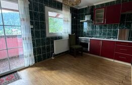 Casa individuala , Sucevita!! Oportunitate de investitie!