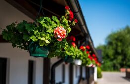 Pensiune modernă de vânzare în Voroneț – 8 camere, construită în 2023