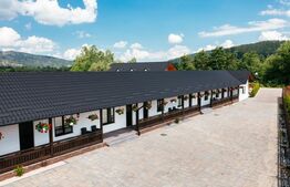 Pensiune modernă de vânzare în Voroneț – 8 camere, construită în 2023